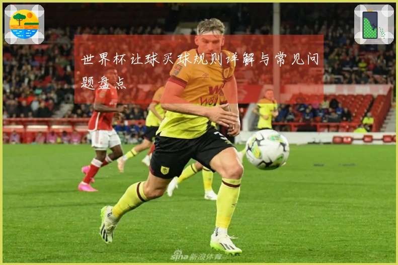 世界杯让球买球规则详解与常见问题盘点