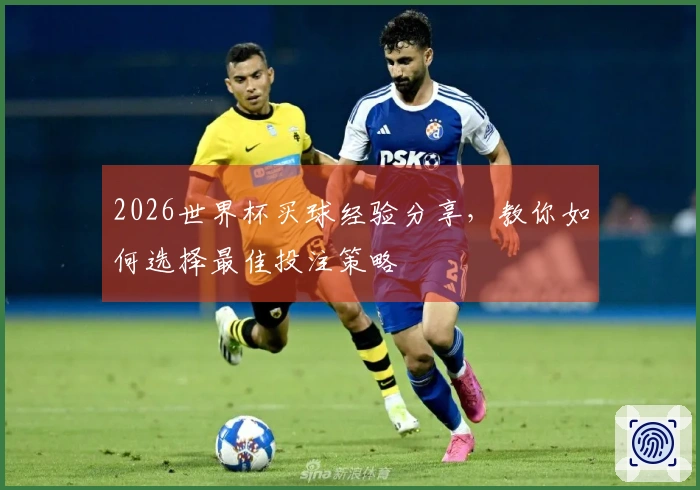 2026世界杯买球经验分享，教你如何选择最佳投注策略