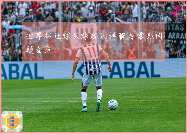 世界杯让球买球规则详解与常见问题盘点