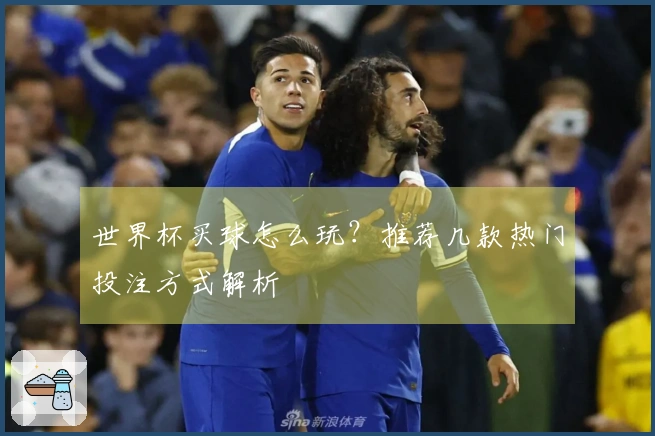 世界杯买球怎么玩？推荐几款热门投注方式解析