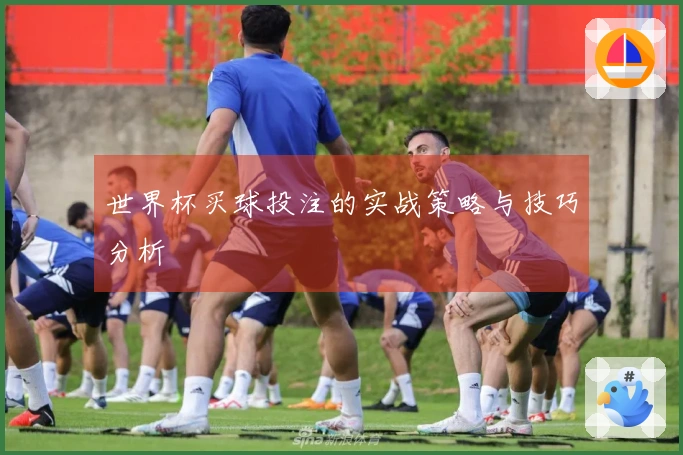 世界杯买球投注的实战策略与技巧分析
